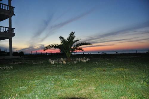 Apartamento Perice Konak