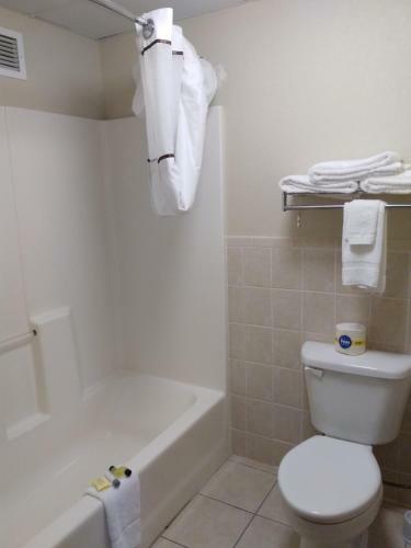 Madelia Hotel & Suites