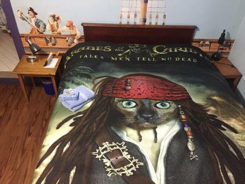 Bed & Breakfast The Pirate Haus Inn