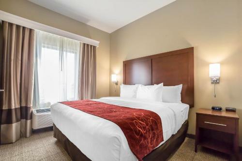 Hotel Comfort Suites Billings