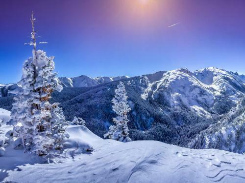Apartamento Condo In Snowmass Village