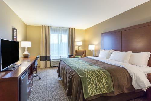 Hotel Comfort Inn & Suites Zachary