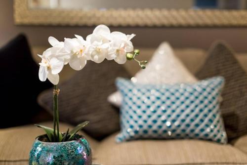 Apartamento Designer Home Slc