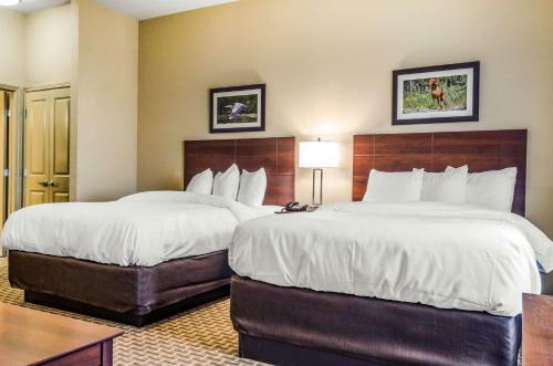 Hotel Mainstay Suites Hackberry Sportsman's Lodge