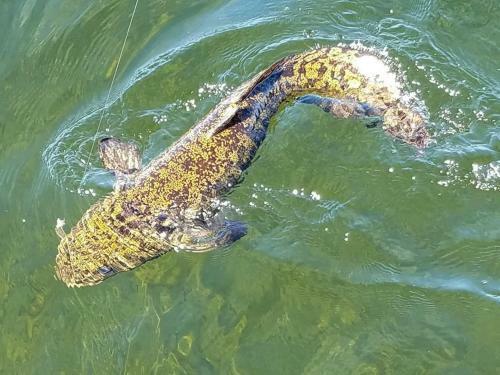 Lake Louise Lodge, Alaska