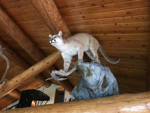 Lake Louise Lodge, Alaska