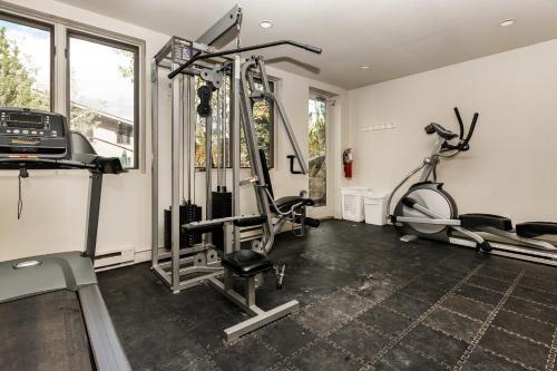 60 Fall Lane Sonnenblick #3 Townhouse