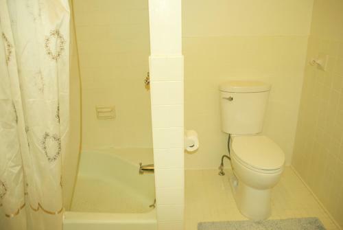 Bed & Breakfast Knapp's Creek Trout Lodge