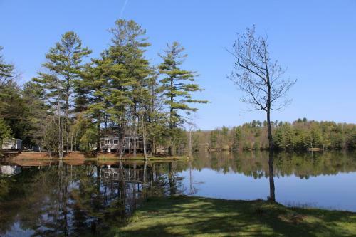 Alpine Lake Lakefront Park Model 4