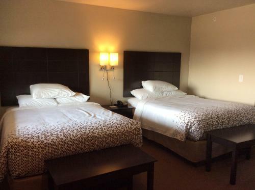 Hotel Scenic Shore Inn