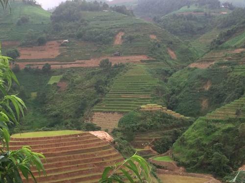 Lodge Hello Mu Cang Chai Homestay