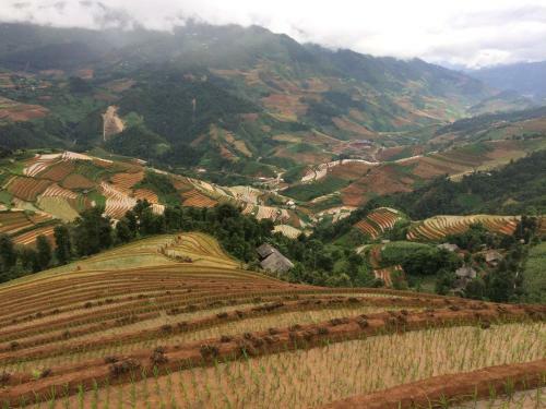 Lodge Hello Mu Cang Chai Homestay