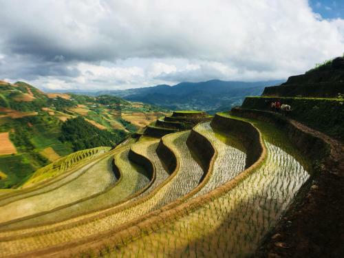 Lodge Hello Mu Cang Chai Homestay