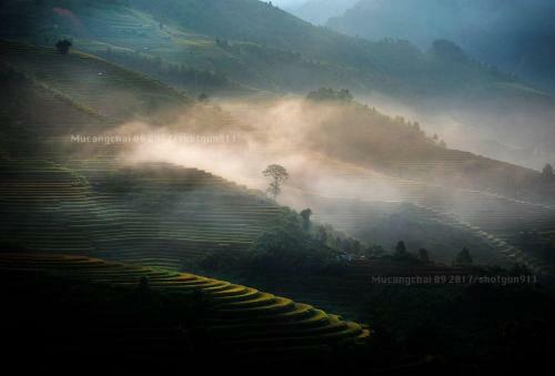 Lodge Hello Mu Cang Chai Homestay