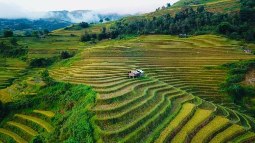 Lodge Hello Mu Cang Chai Homestay
