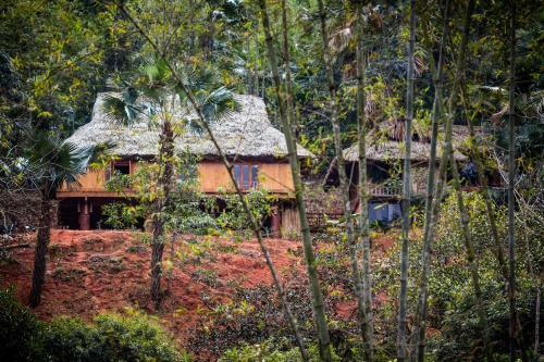 Lodge Mai Chau Palm House
