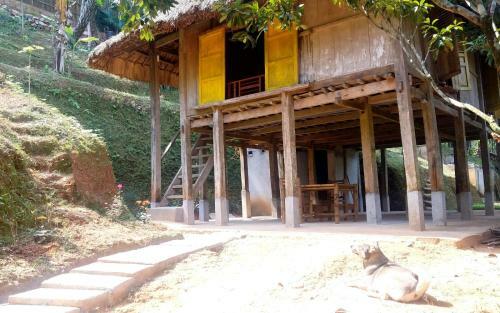 Lodge Mai Chau Palm House