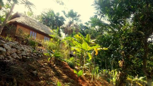 Lodge Mai Chau Palm House