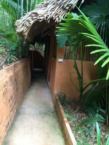 Lodge Mai Chau Palm House