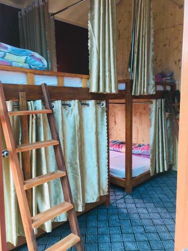 Bed & Breakfast Green Hill Hostel & Tour