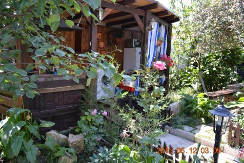 Hostal U Palycha Guest House
