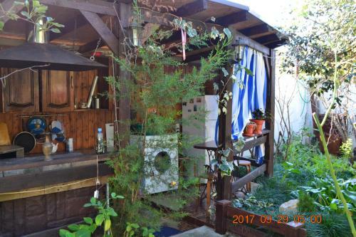 Hostal U Palycha Guest House