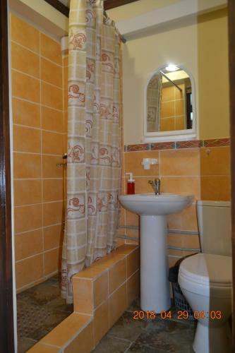 Hostal U Palycha Guest House