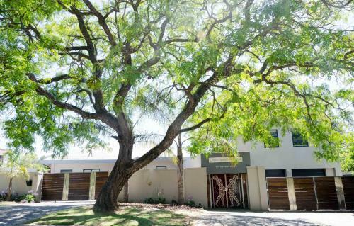 Apartamento Lindy Van Niekerk Art & Accommodation