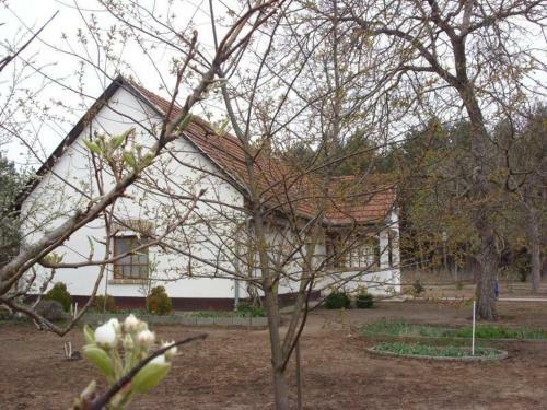 Apartamento Cinege Vend�gh�z