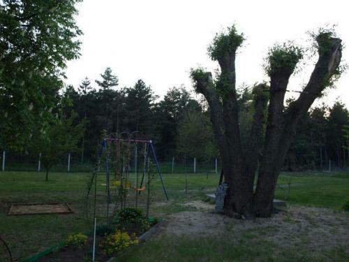 Apartamento Cinege Vend�gh�z