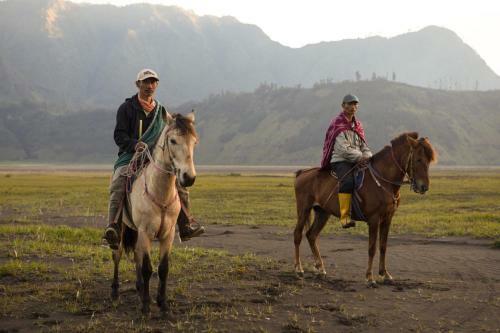 Hotel Plataran Bromo