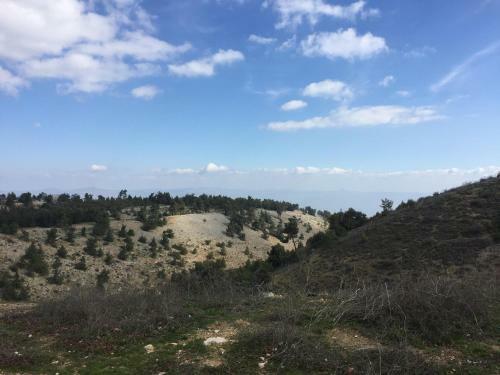 A Little Galilee House