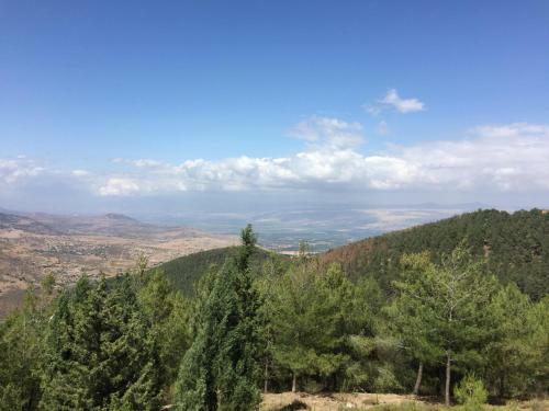 A Little Galilee House