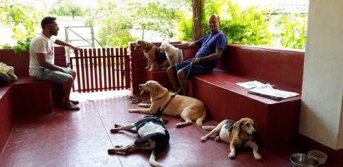 Hostal Wild Valley Nature Club