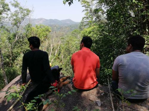 Misty Mounts Plantations Stay