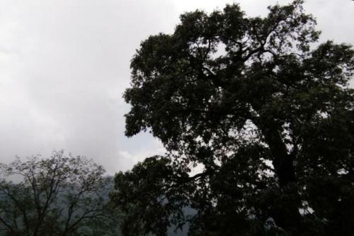 Hotel Goroomgo Lorent Mallital , Nanital