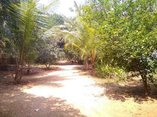 Agroturismo Eden Garden