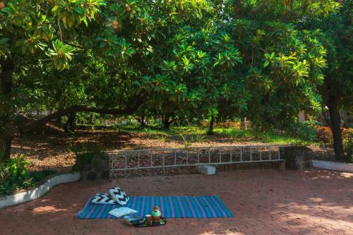 Hotel Saffronstays Kenwoods