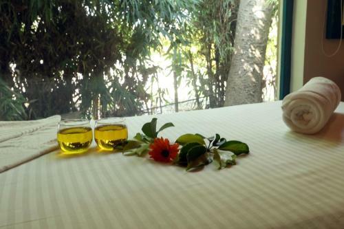 Hotel Acorn Hideaway Resort & Spa