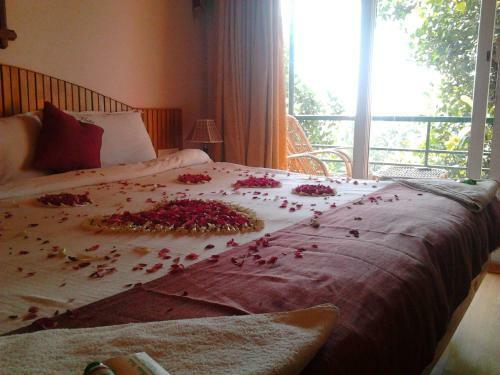 Super Deluxe Family Cottage Stay