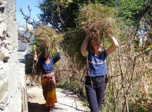 Krishana Vatika Holy Hills Home Stay