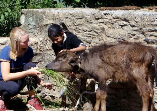 Krishana Vatika Holy Hills Home Stay