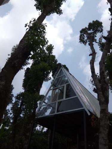 Villa Pravat Plantation Stay