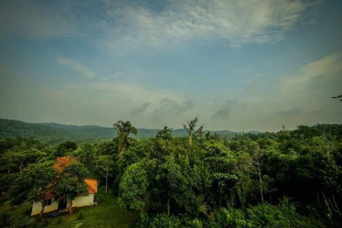 Aadhavana Homestay - Sakleshpur