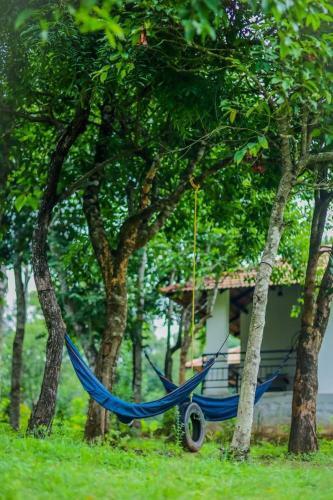 Aadhavana Homestay - Sakleshpur