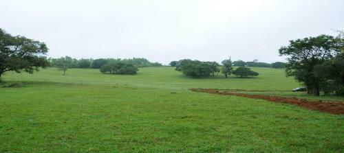 Green Grass Homestay