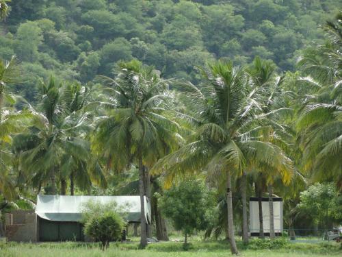 Agroturismo Nannilam Organic Farm Stay