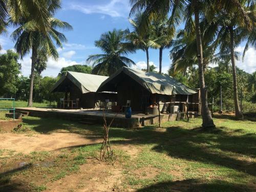 Agroturismo Nannilam Organic Farm Stay