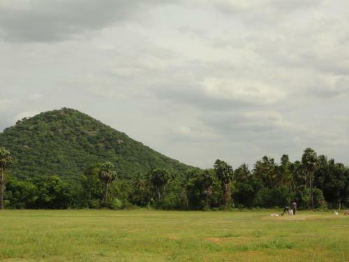 Agroturismo Nannilam Organic Farm Stay