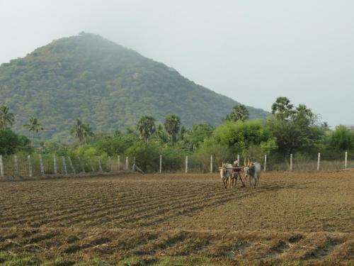 Agroturismo Nannilam Organic Farm Stay